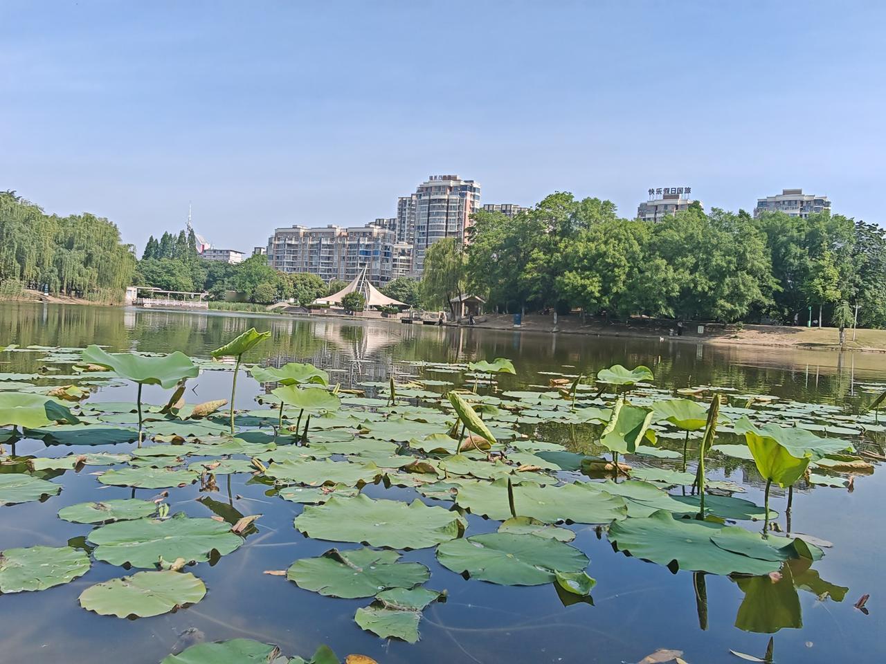 夏天来了穿着舒服走走看看风景