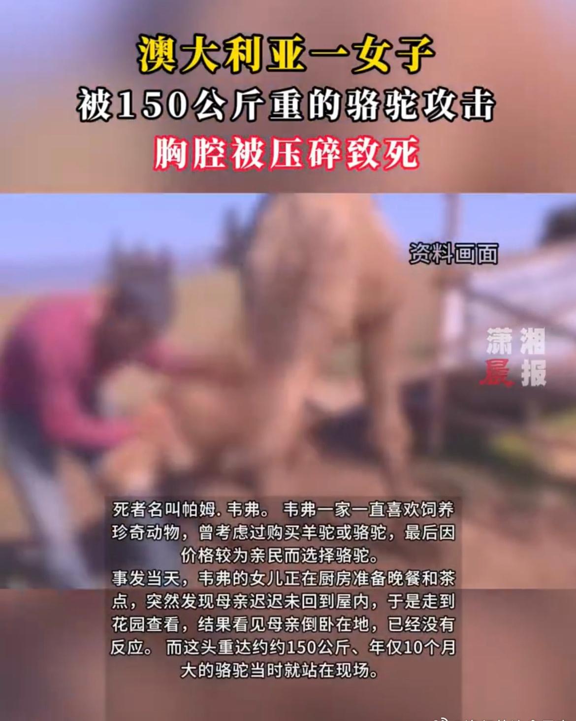 也属于一种克妻了