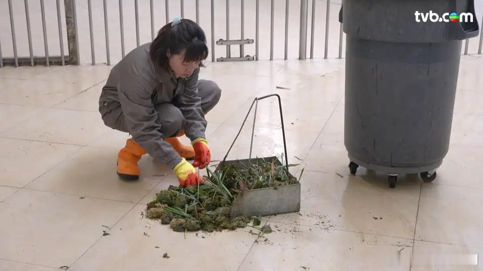 周遊人生｜周奕瑋探訪大熊貓保育員 聞熊貓便便一聞上癮.  周奕瑋（Jarvis）