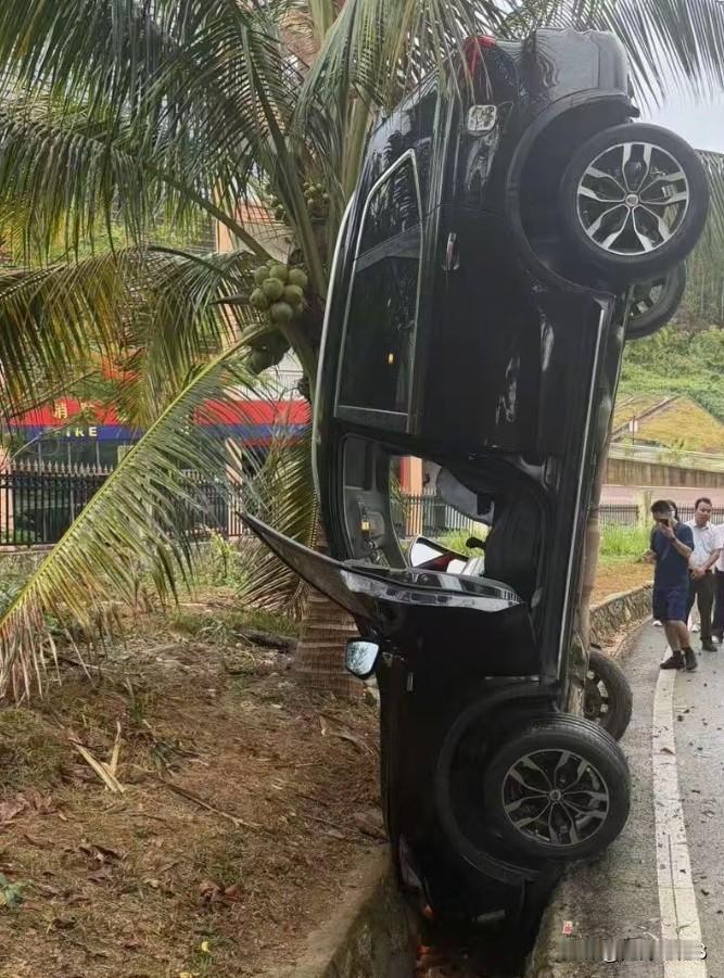 这是怎么办法的？倒立停车！这老司机真办不到！