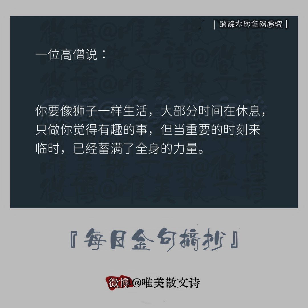 “一位高僧说：“你要像狮子一样生活，大部分时间在休息，…。” 