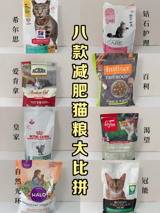 减肥猫粮大比拼，哪款更适合自己家猫？