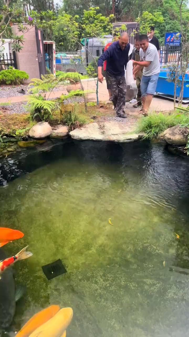 是关中王来。