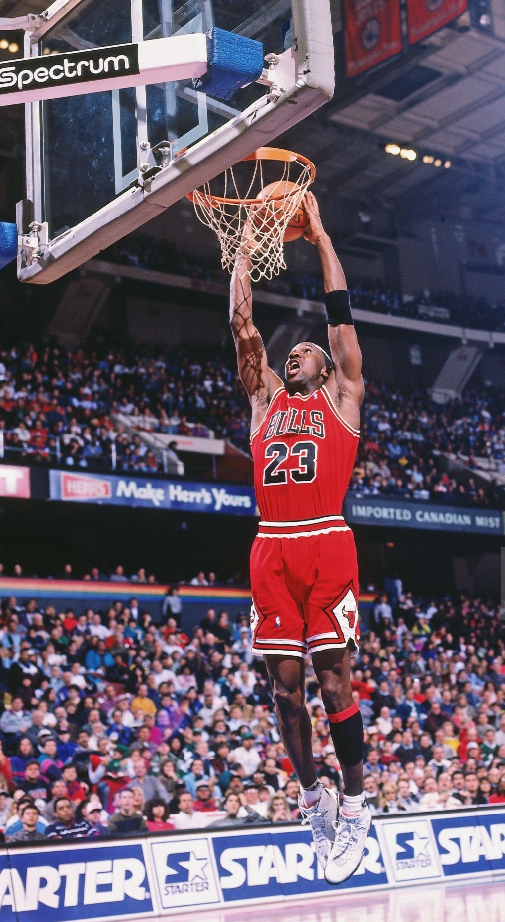 Michael Jordan 双手灌篮 