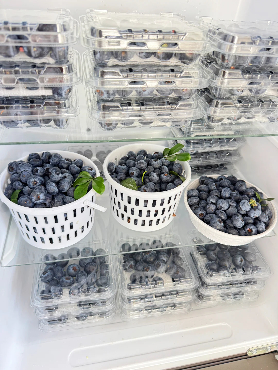 花香蓝莓降价后，真的可以敞开炫了！