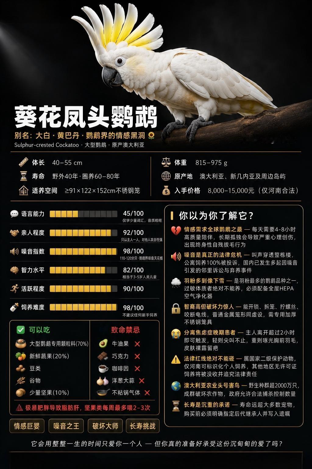 不少观赏鸟类爱好者被葵花凤头鹦鹉高颜值圈粉，头顶标志性黄冠羽，通体雪白，情绪起伏