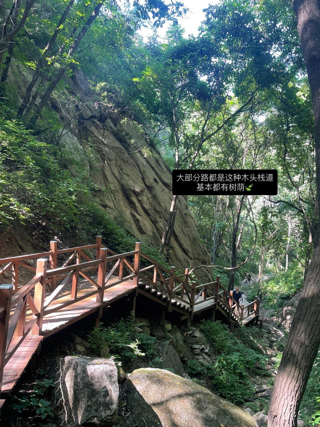 北京爬山｜新手友好 全是树荫的木栈道