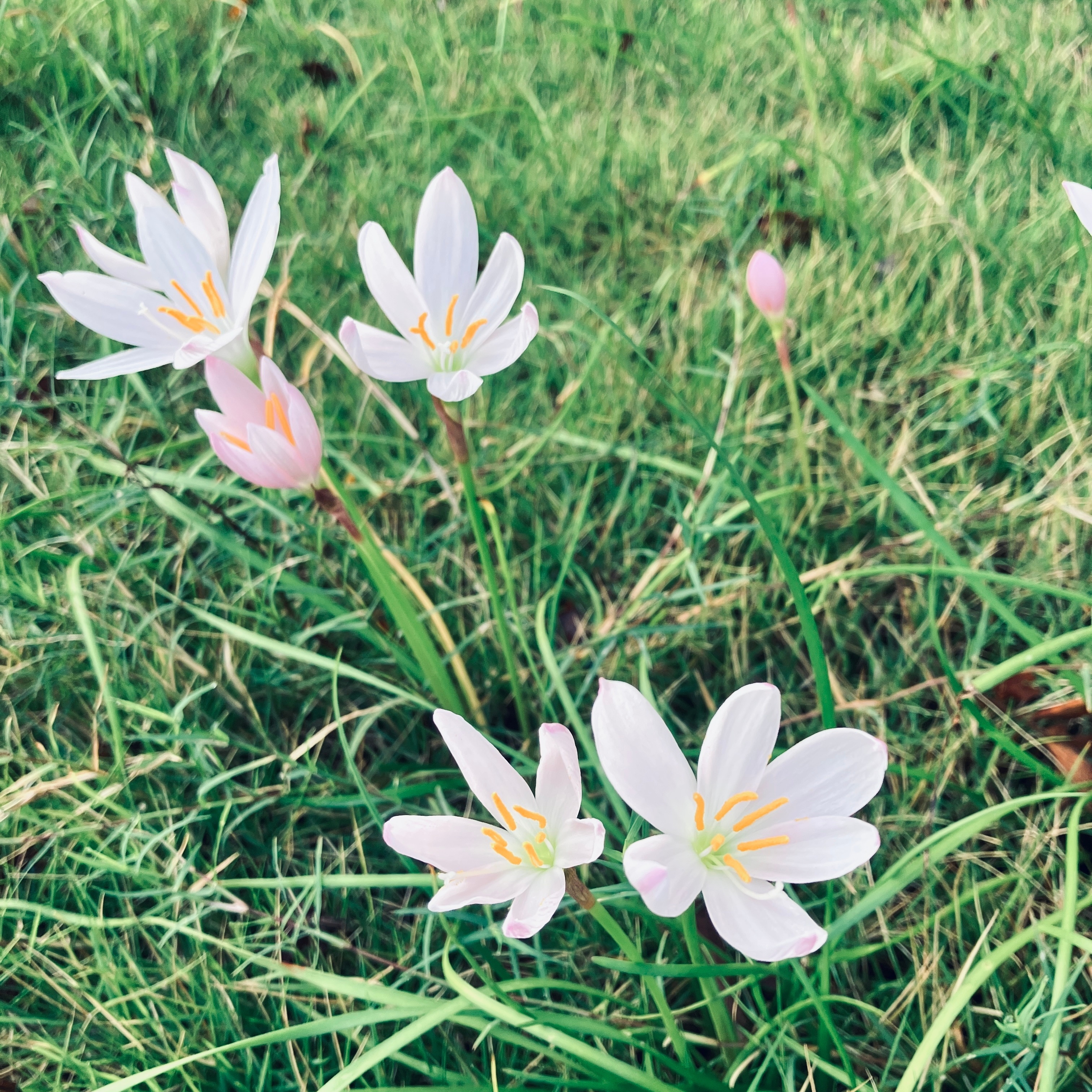 早上好☀️，今天天气不错 