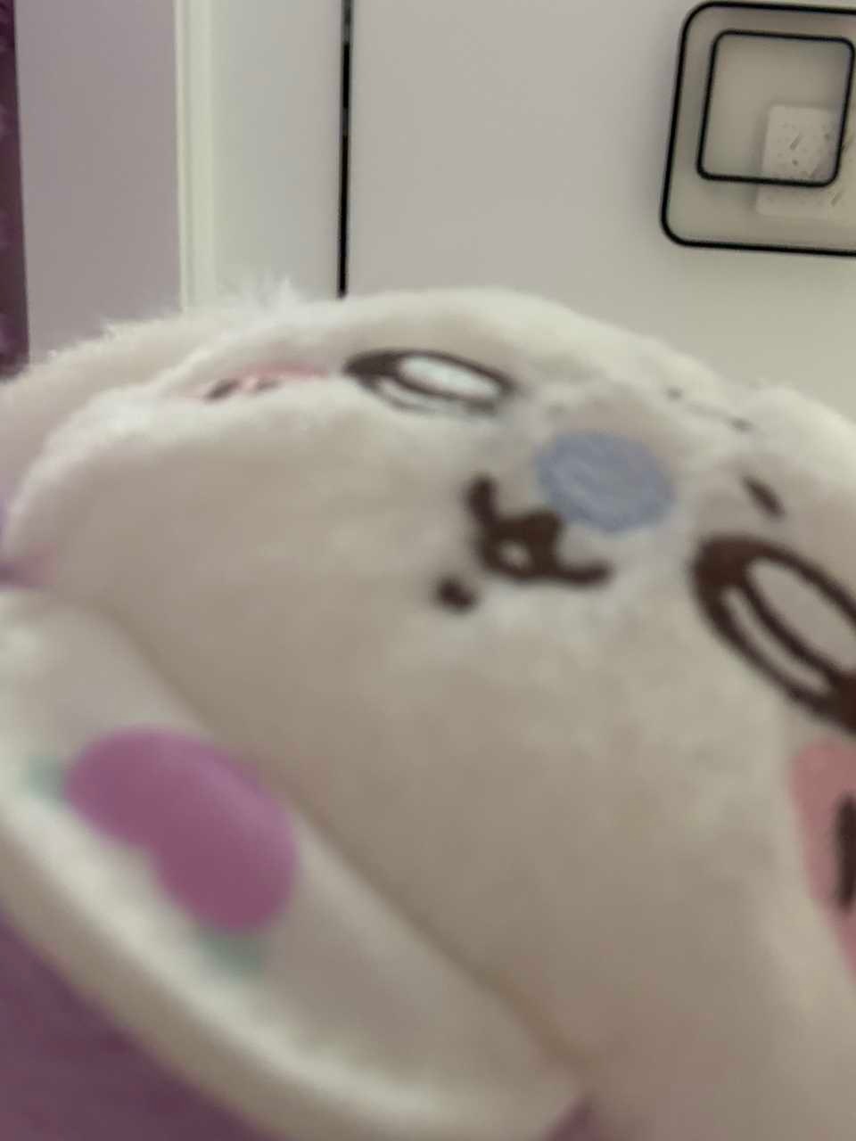 猪生日快乐🎂我要带你去更多地方吃更多好吃的23416 