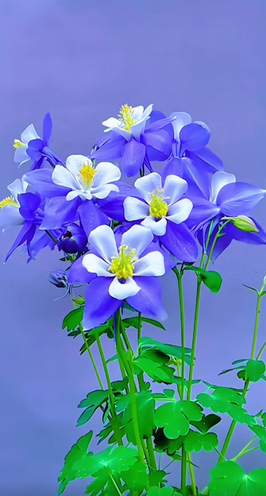 十九岁男孩洛阳失踪案对家长有何警示？
19岁男孩洛阳失踪案，给家长敲响了警钟。陈