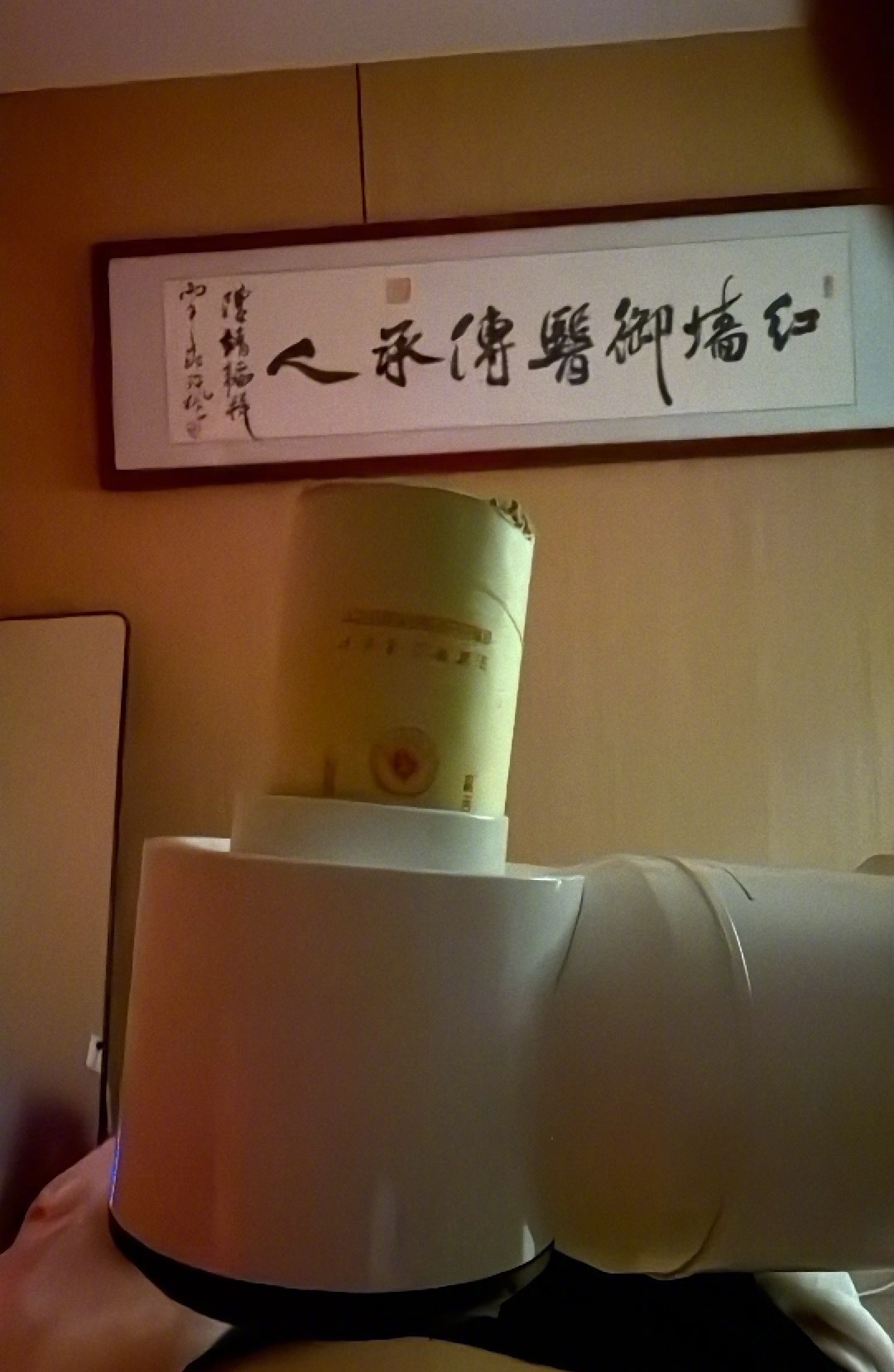 不得不说，用艾灸续命真的有用，越大条越好，否则热量不够。但是真的阳气太差的时候，