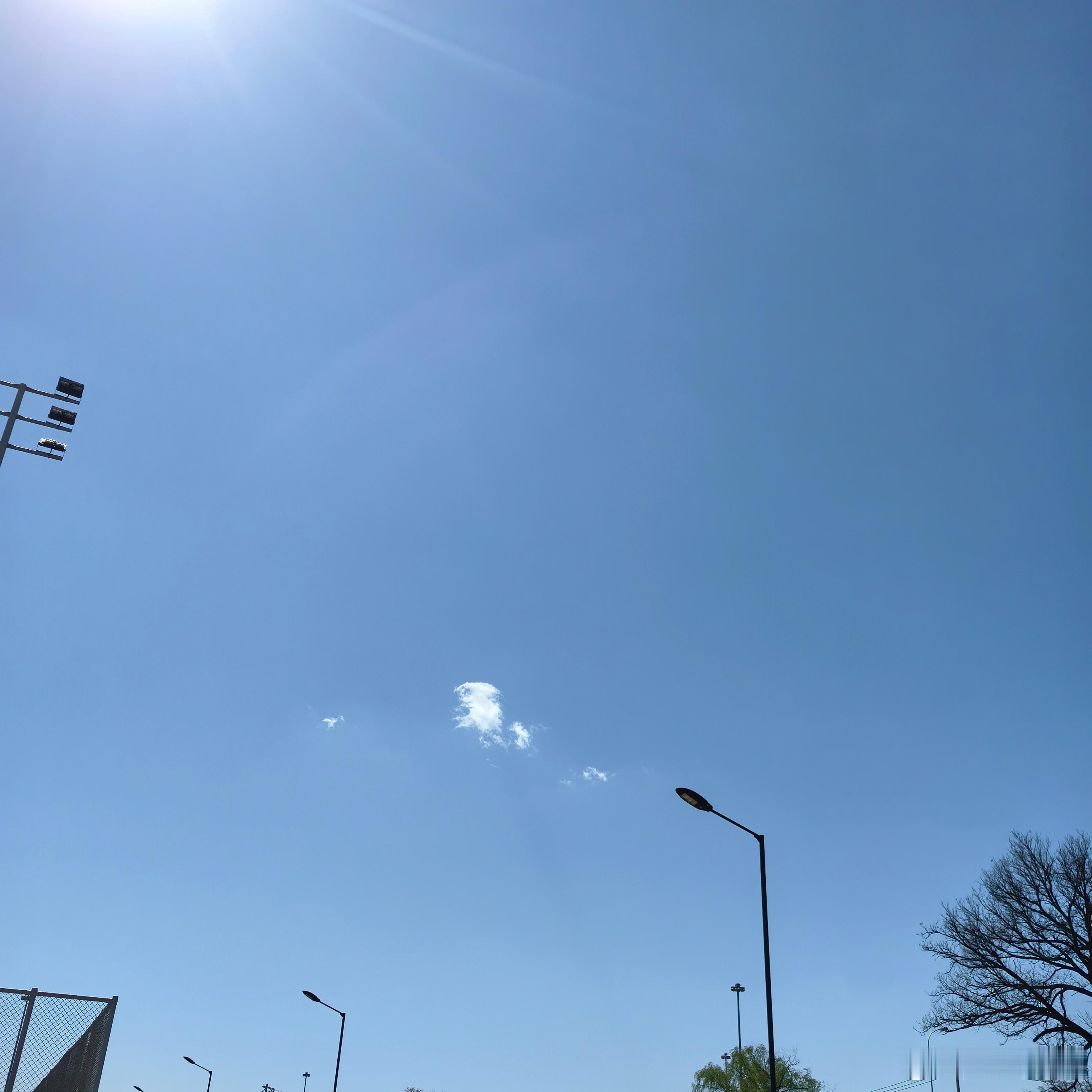 “你逢人就说不想谈恋爱，其实         是你想谈的那个人不可能在一起罢了…