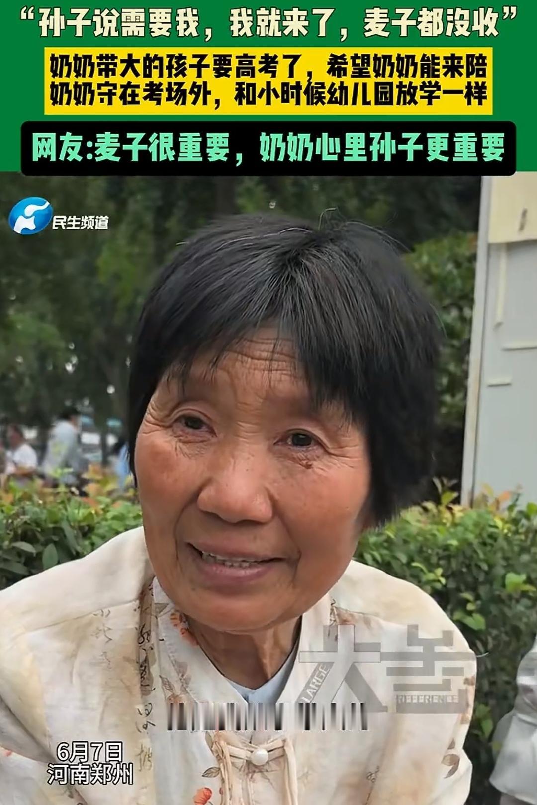 麦子重要，孙子高考更重要
河南郑州，这位奶奶因为孙子一句话，丢下老家已经成熟等待