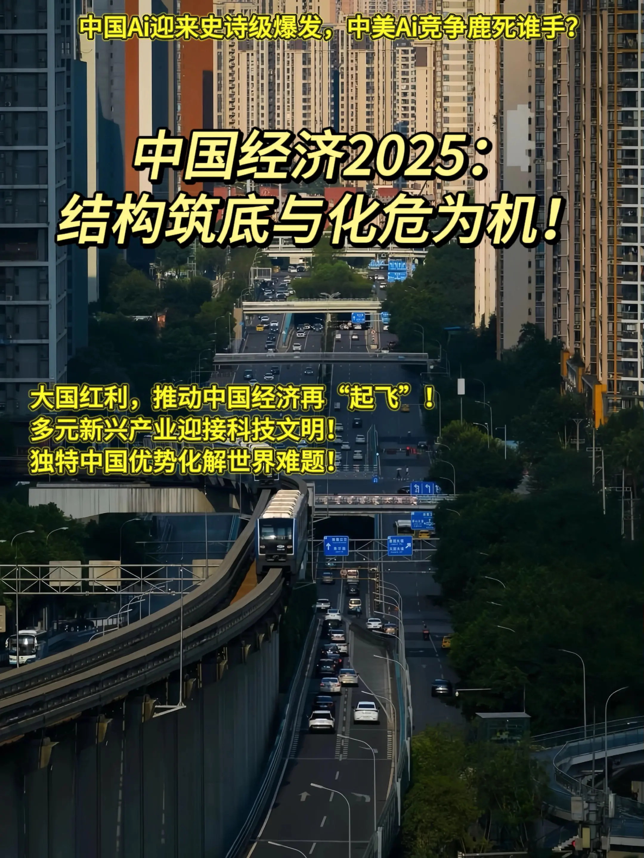 读懂中国经济，解锁化危为机路径！读书