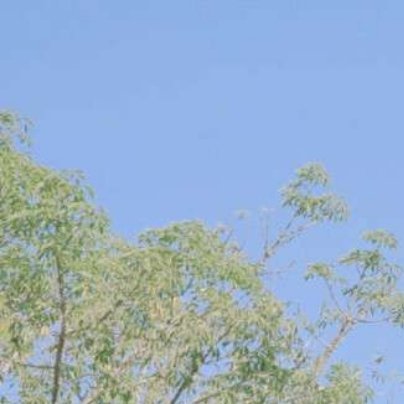 阳光信用每日一善 也许，努力过后没能得到相应的回报，可毕竟我们都曾努力过。或许，