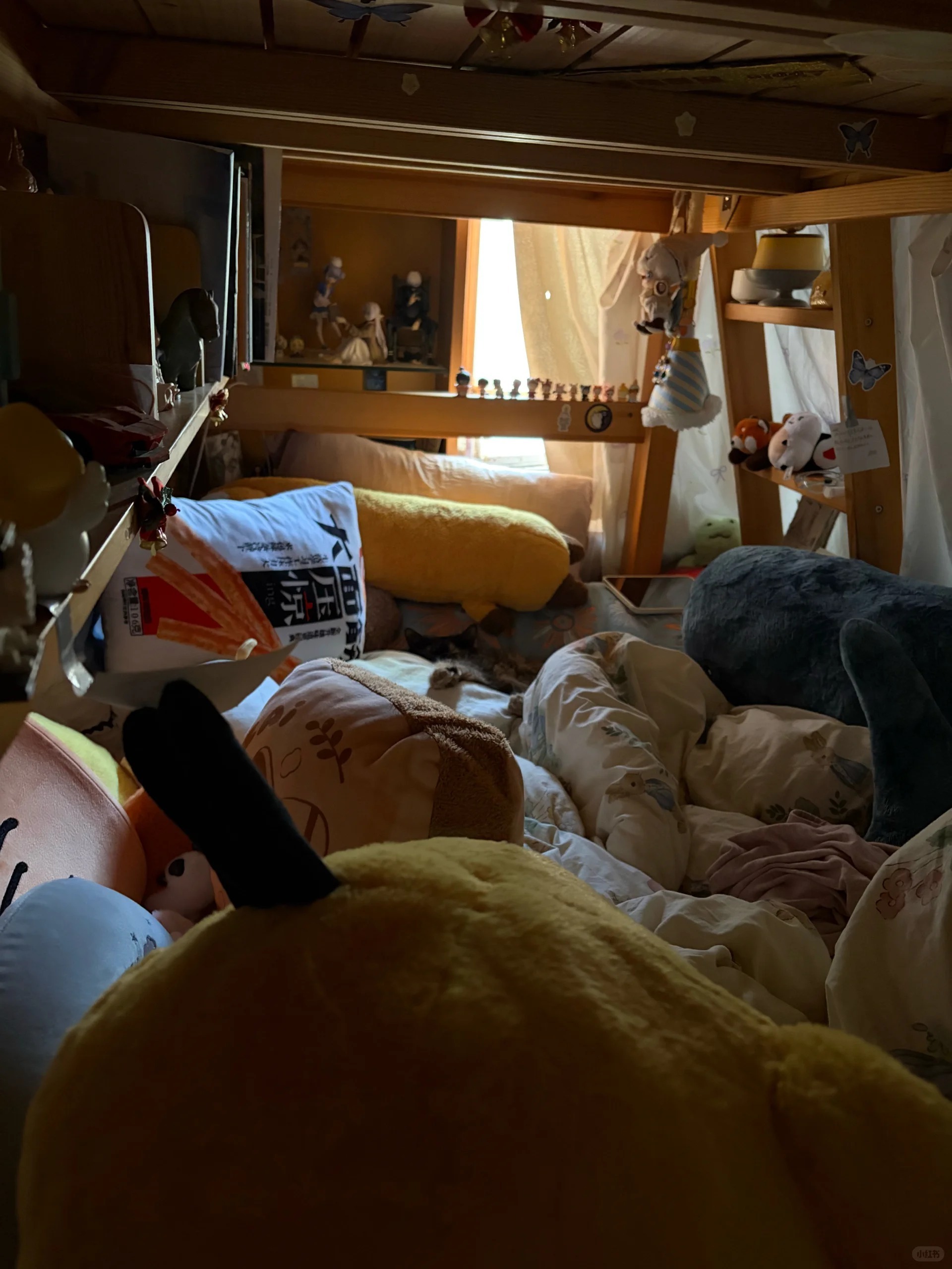 没有安全感女生的床是这样的，这样看起来好有安全感。 