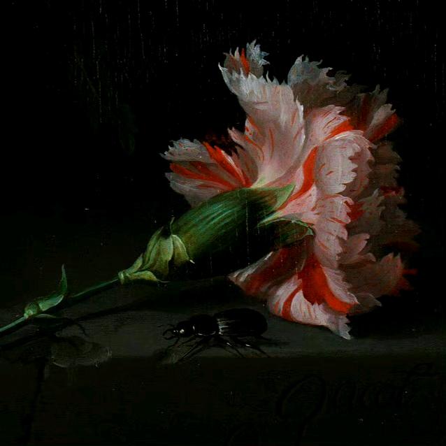 玻璃花瓶里的花
Jacob van Walscapelle油画作品