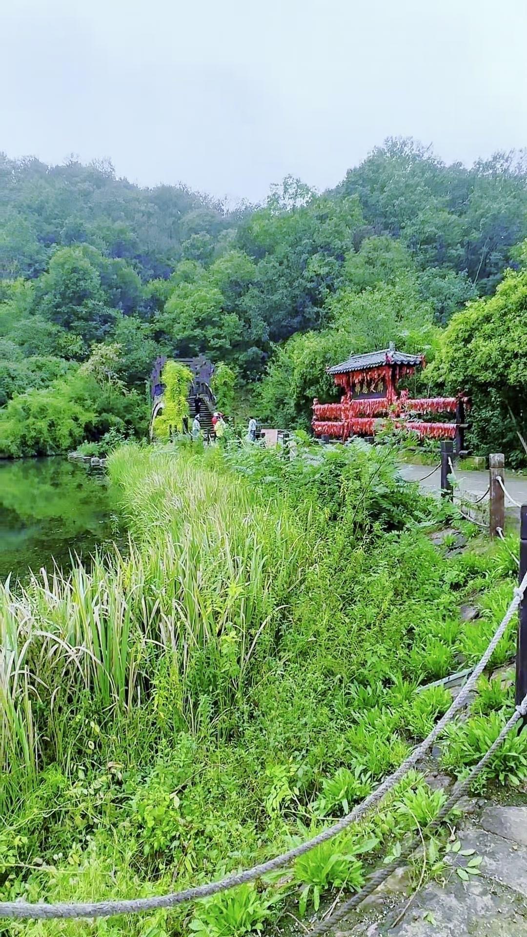 来信阳别只知道鸡公山！这个“画家村”美到窒息！

🌿来郝堂村才知道，原来江南意