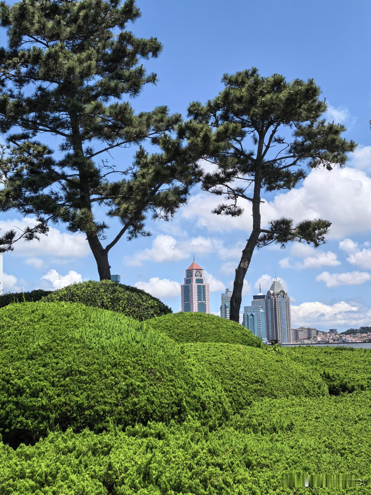 泽连斯基打光了土地与人口资源，为什么还能支撑下去？借了这么多外债靠什么还？

乌