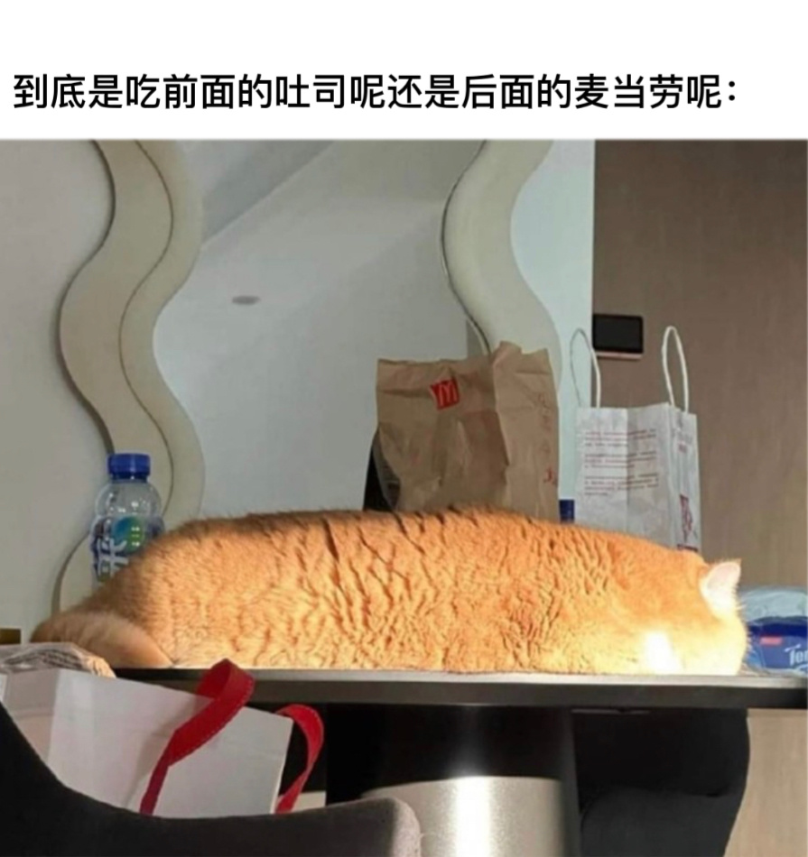 选择困难#今日memes# ​​​