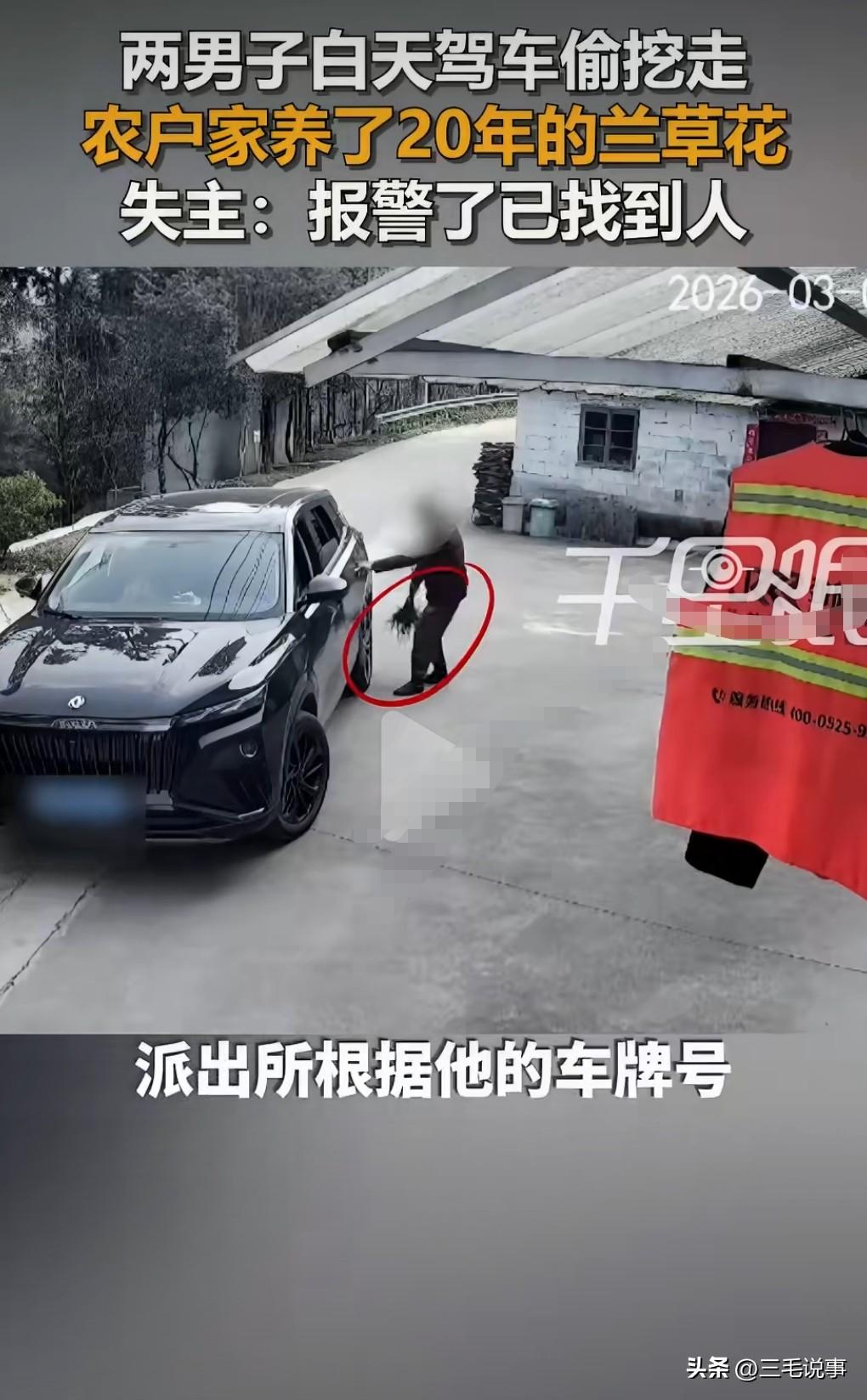 监控真是个好东西啊，拍到了两个盗窃分子偷某农户兰花的镜头。

3月11日热搜，农