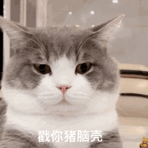 #表情包[超话]#……猪脑壳 ​​​