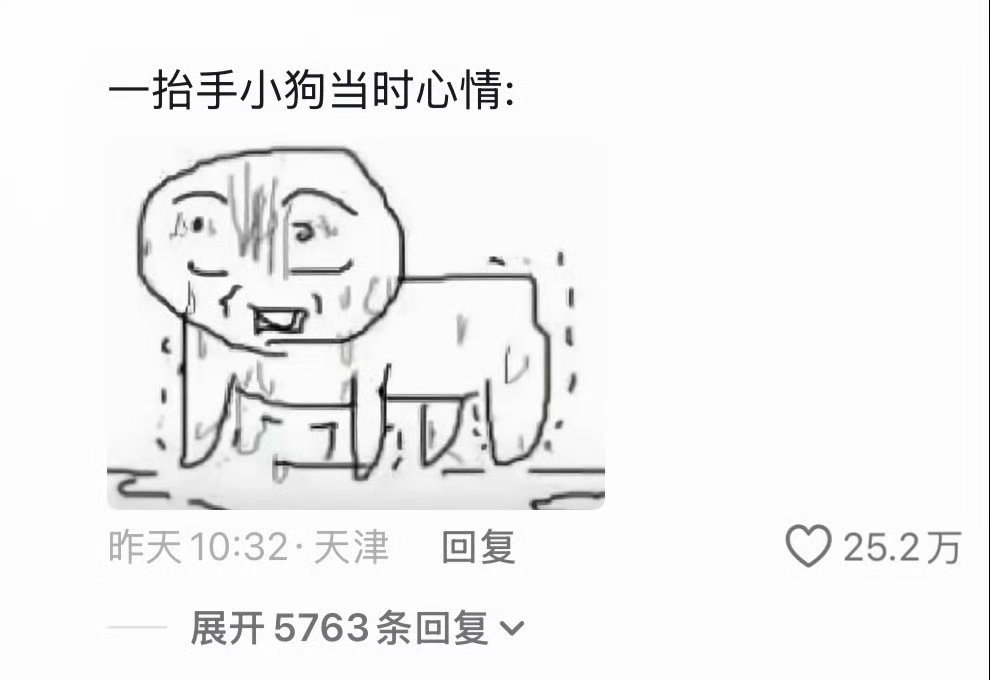 🐶：我当时真的害怕极了[泪奔]一抬手就知道打没打过狗爆笑段子研究所 ​​​