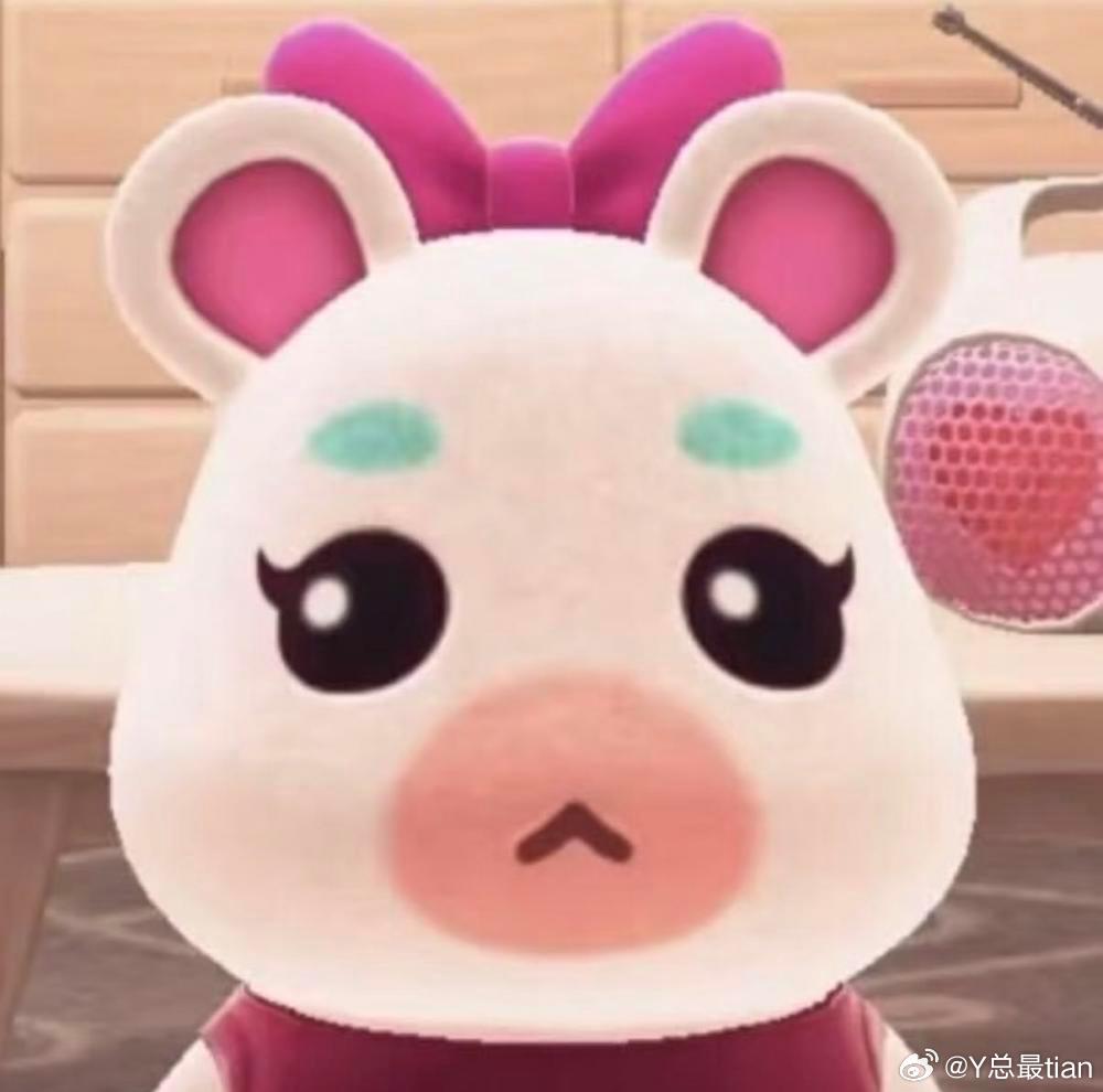 挂只猪。不听我语音只转文字然后说我凶她。 