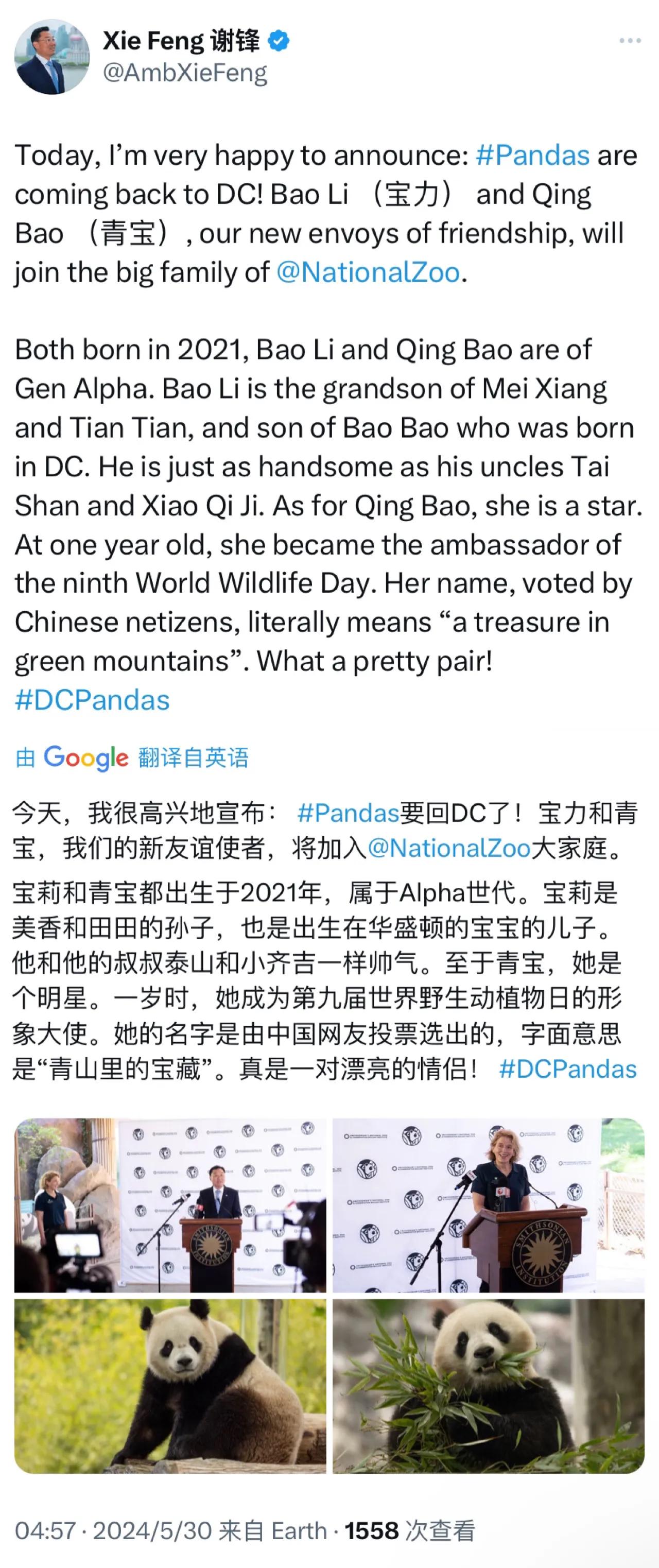 中国驻美大使谢锋今天（北京时间5月30日）写道：“今天，我很高兴地宣布：熊猫要回