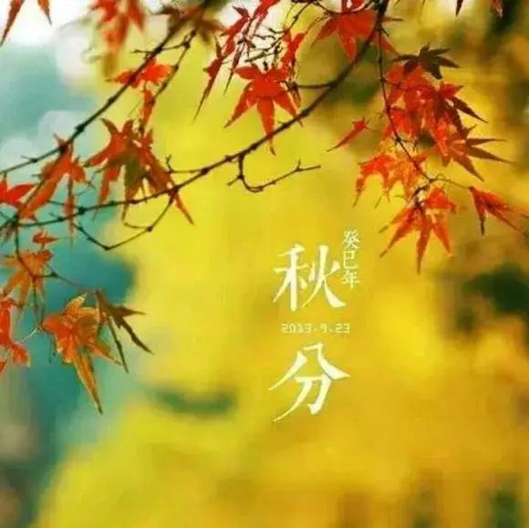 今日秋分
天地各半，光阴对分
昼夜均分，而寒暑平
一半热烈，一半清朗

正如生活