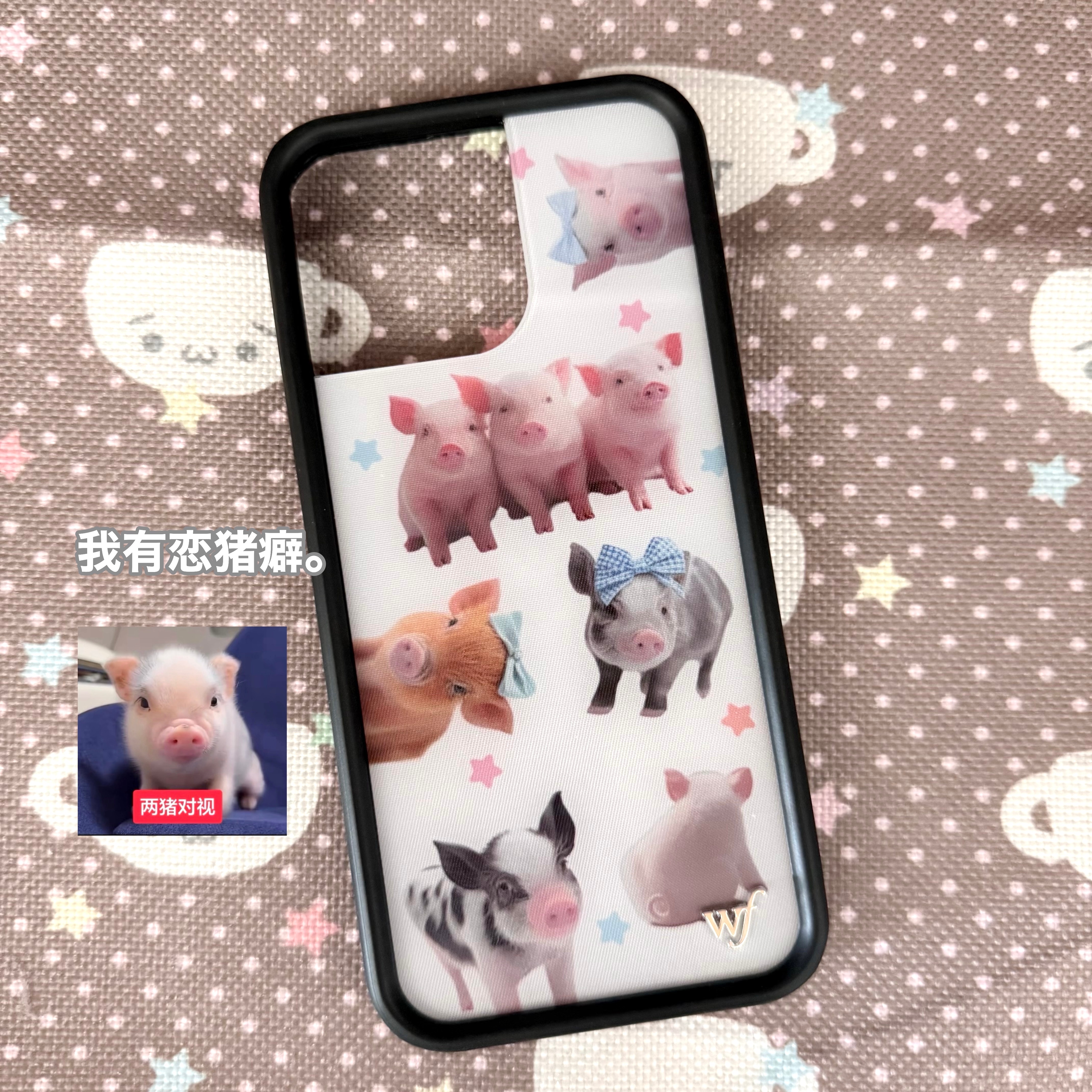 废物分享(´･Д･)」 