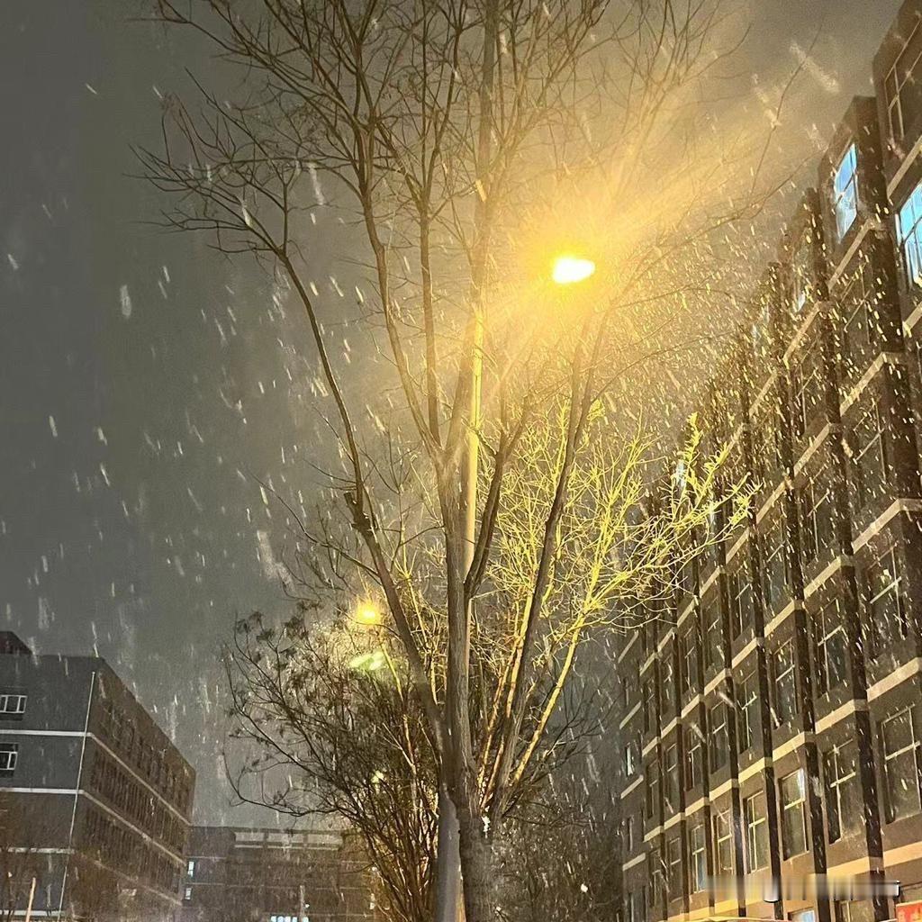 为什么说在校园里谈恋爱分手的概率没有工作之后的概率大。同样是两个相爱的人，就像我