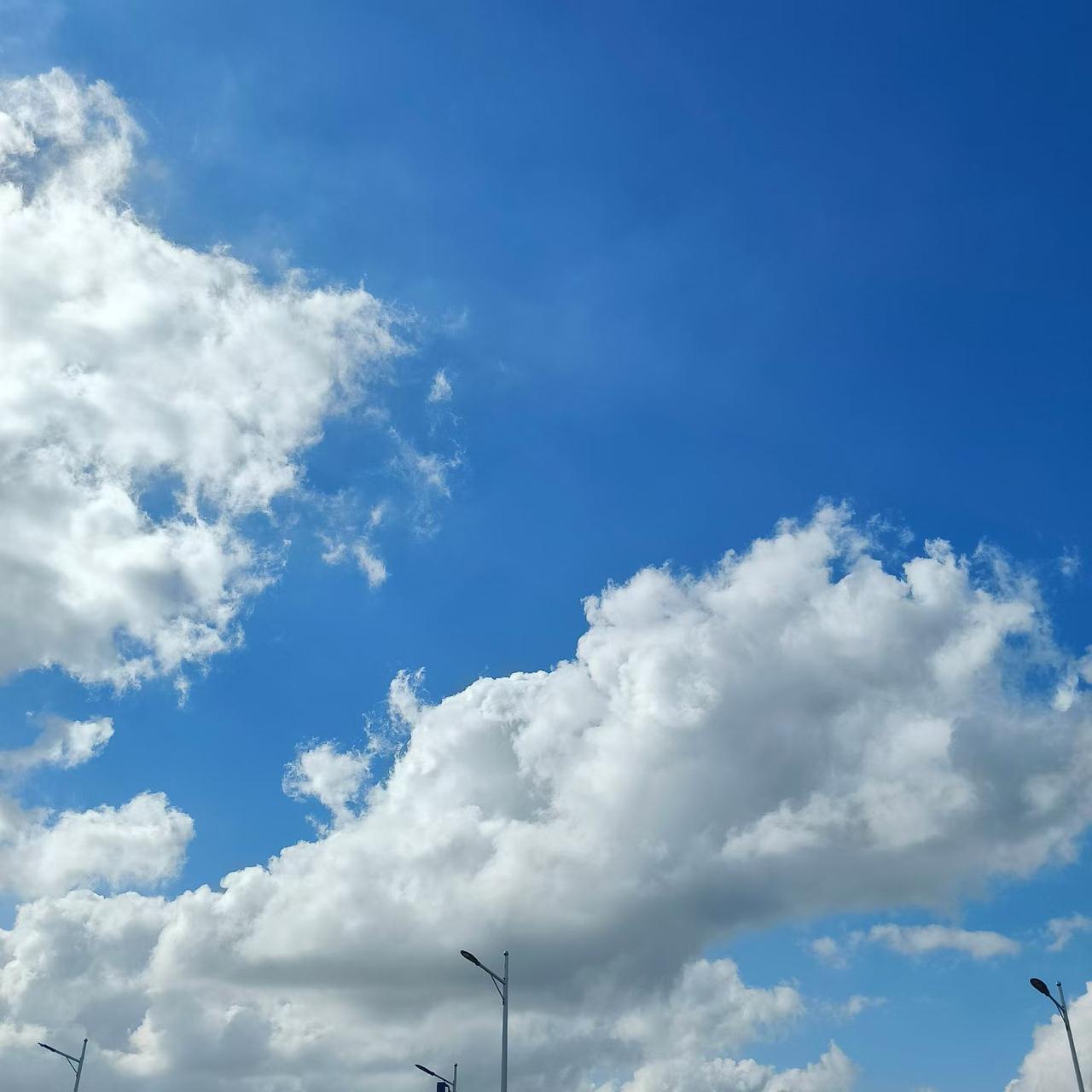 广州盛夏魔法：
出门一分钟，
流汗两小时！
体感直接拉满，
走到哪汗流到哪，
妥