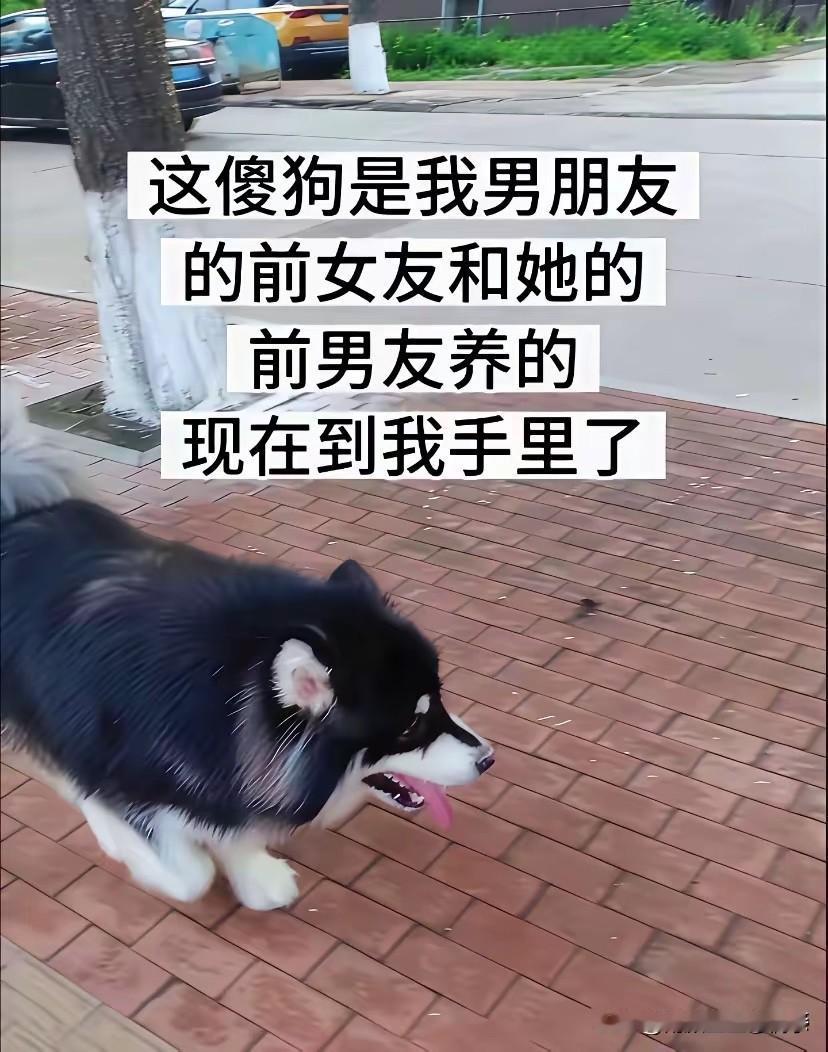 不得不说，这是年度最乱的关系，没有之一！[捂脸][捂脸][捂脸]