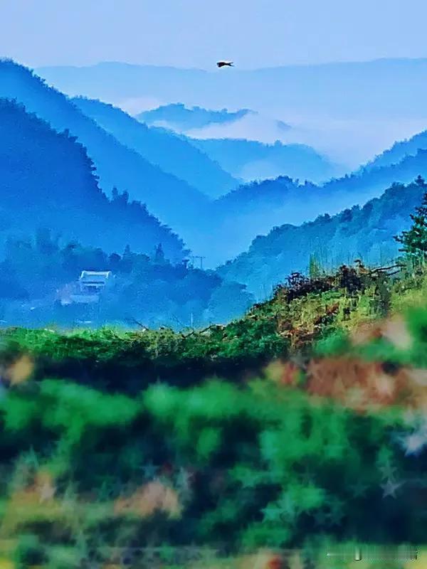 上联：绿水浮蛙叫，对下联青山现鸟飞！