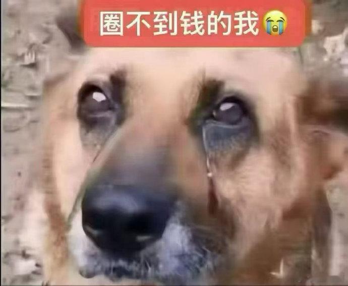天塌了，早上一起床两根假几把被淘宝下架了，现在产品违规只能自己猜，完全不知道那个