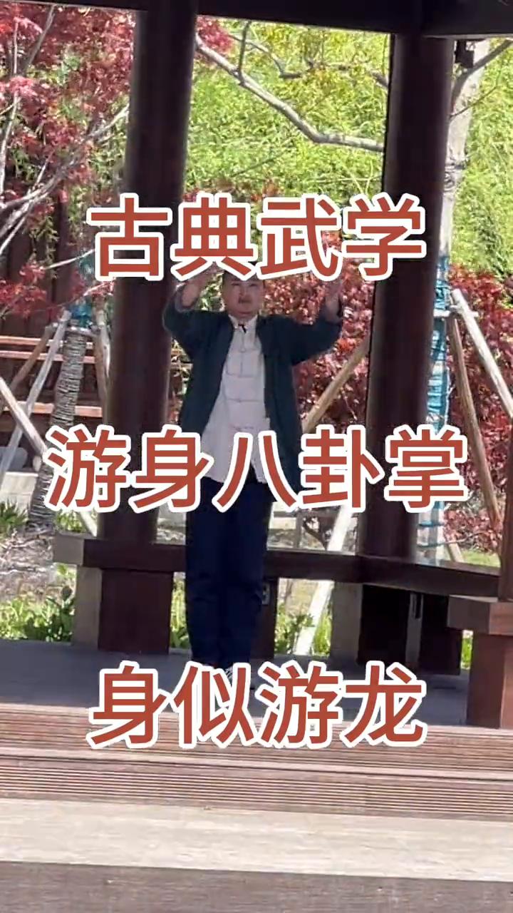 古典武学：游身八卦掌。
姜其童老师。