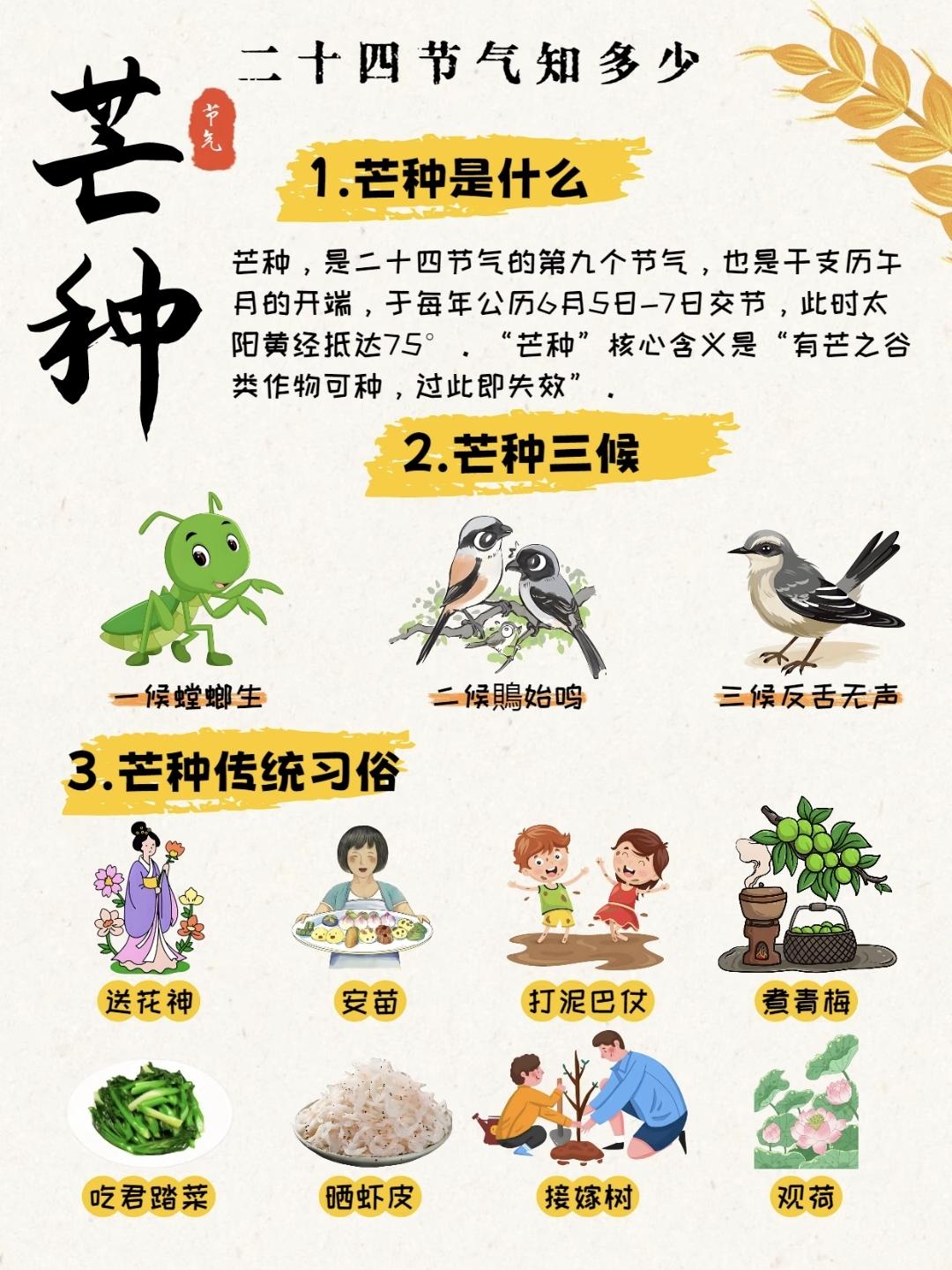 传统节气科普，通俗易懂、干货满满，带娃解锁二十四节气芒种之美~
夏日的热闹，从芒