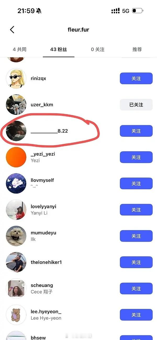 算雷神之锤吗？綦美合弟弟关注了綦美合被扒潮牌的ins啊，38个粉丝里有4个都被欧