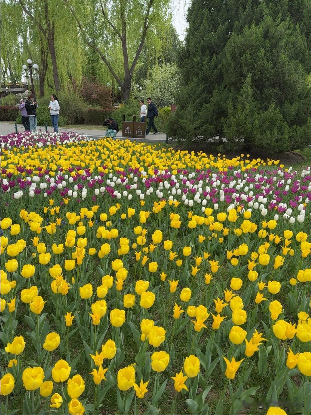 嘴有多好，命就有多好。
我认识的一个人，从没有说过难听的话。
无论是跟家人还是同