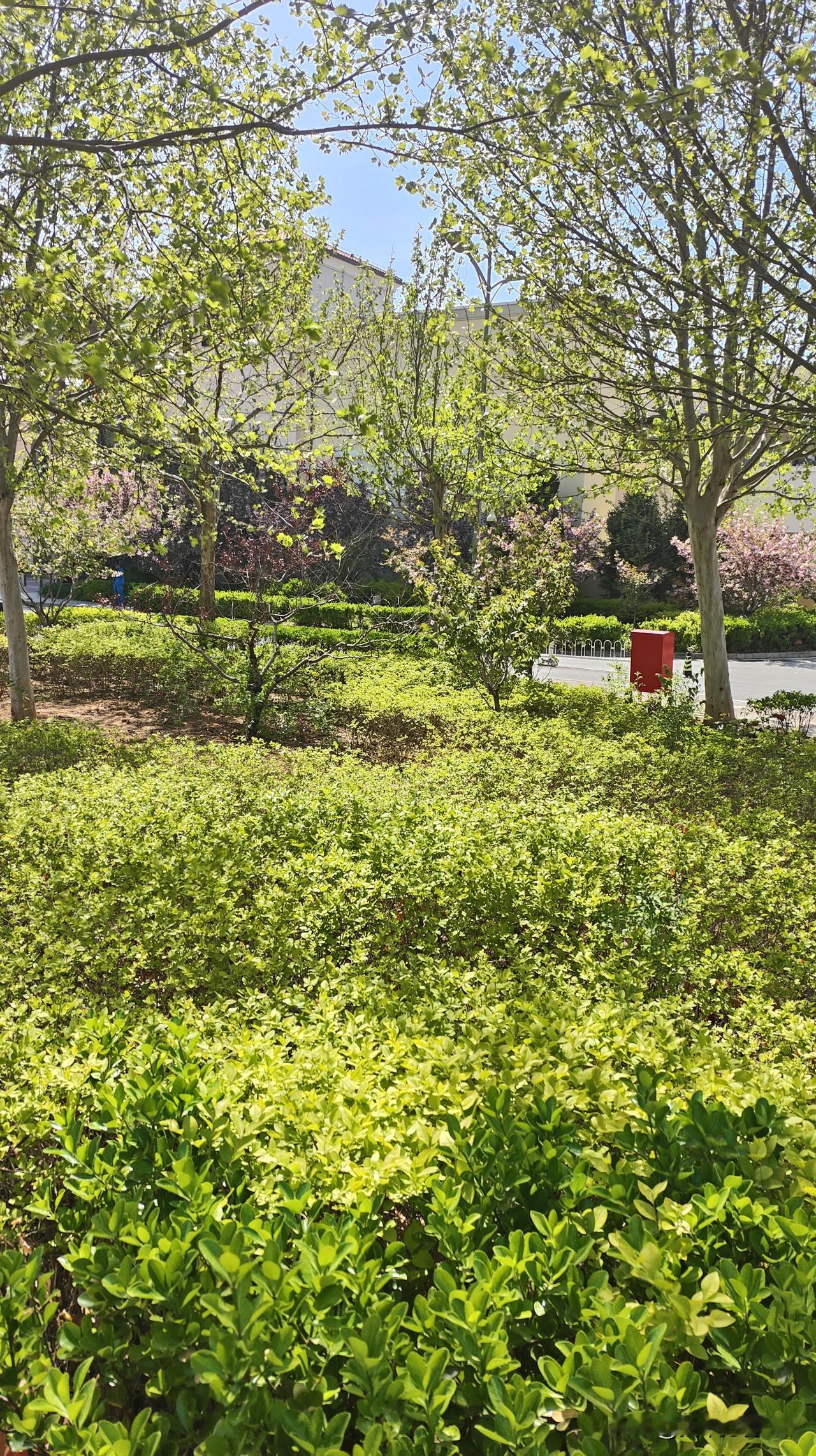 交通也很便利，有多条免费班车线路通往全市各区，坐地铁昌平线到西山口站，转免费购物