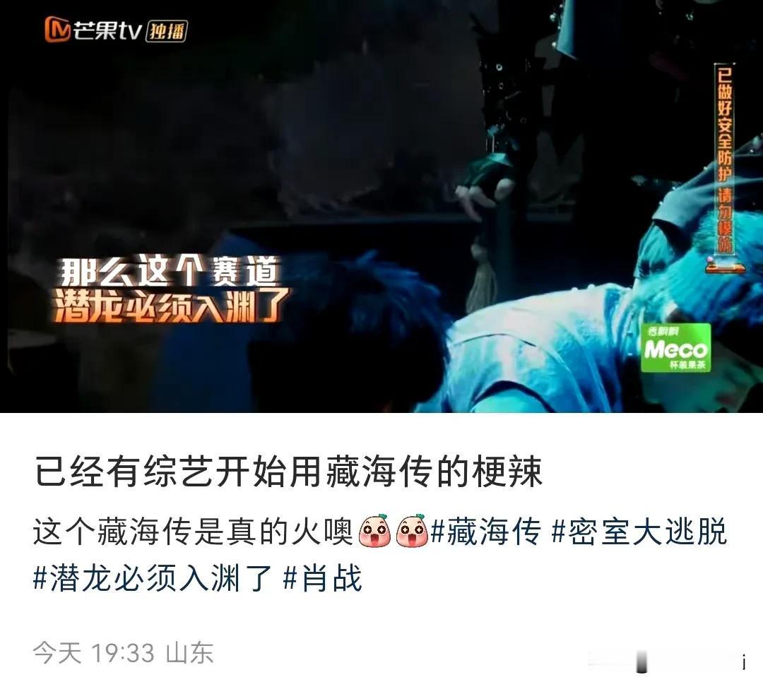 不光许多电视综艺节目在用《藏海传》的各种梗，各行各业也都在频繁使用，这便是大爆剧