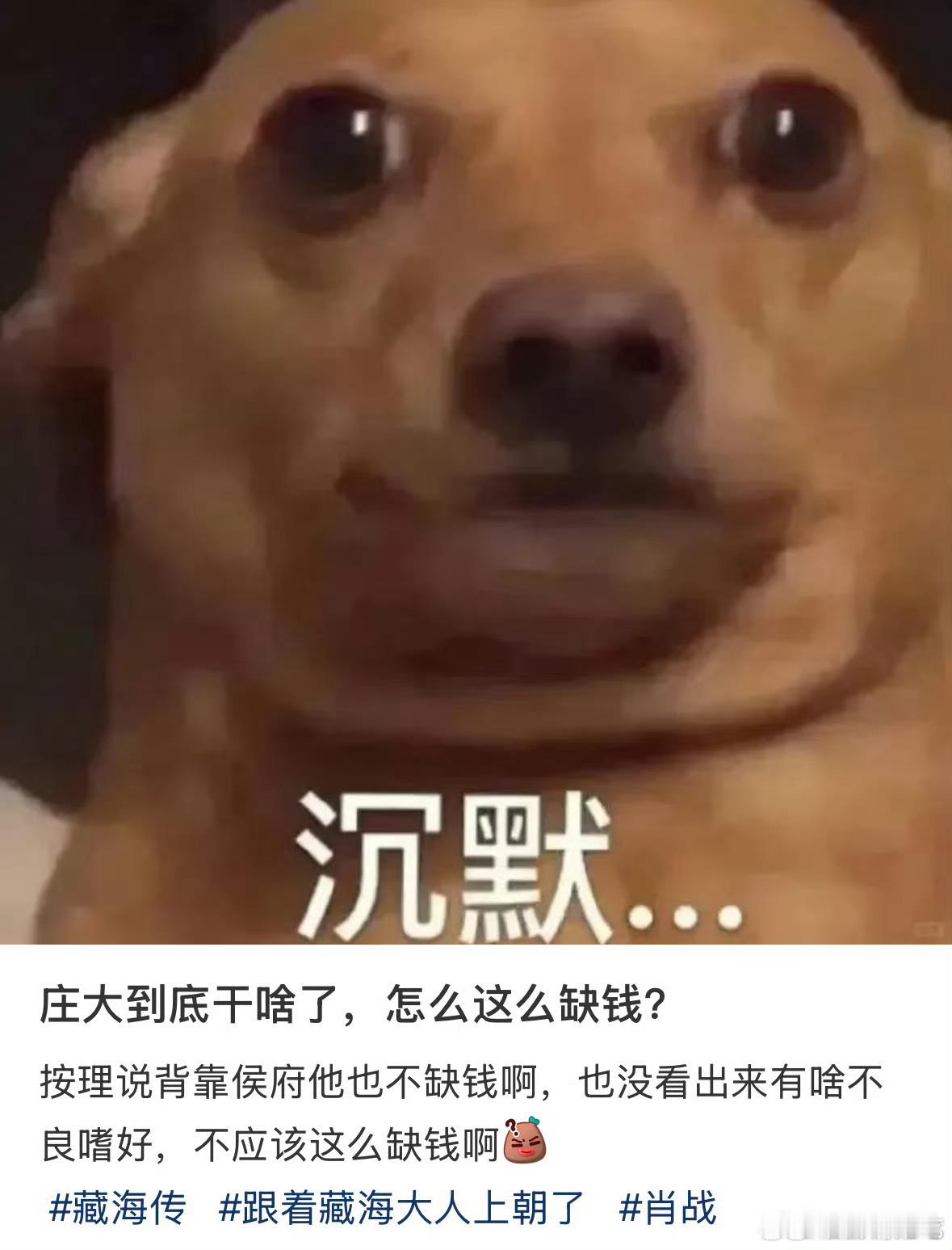 大雍平账仙人我真的要笑死，把自己的热爱变成事业来做整个人都会发光！藏海传 ​​​