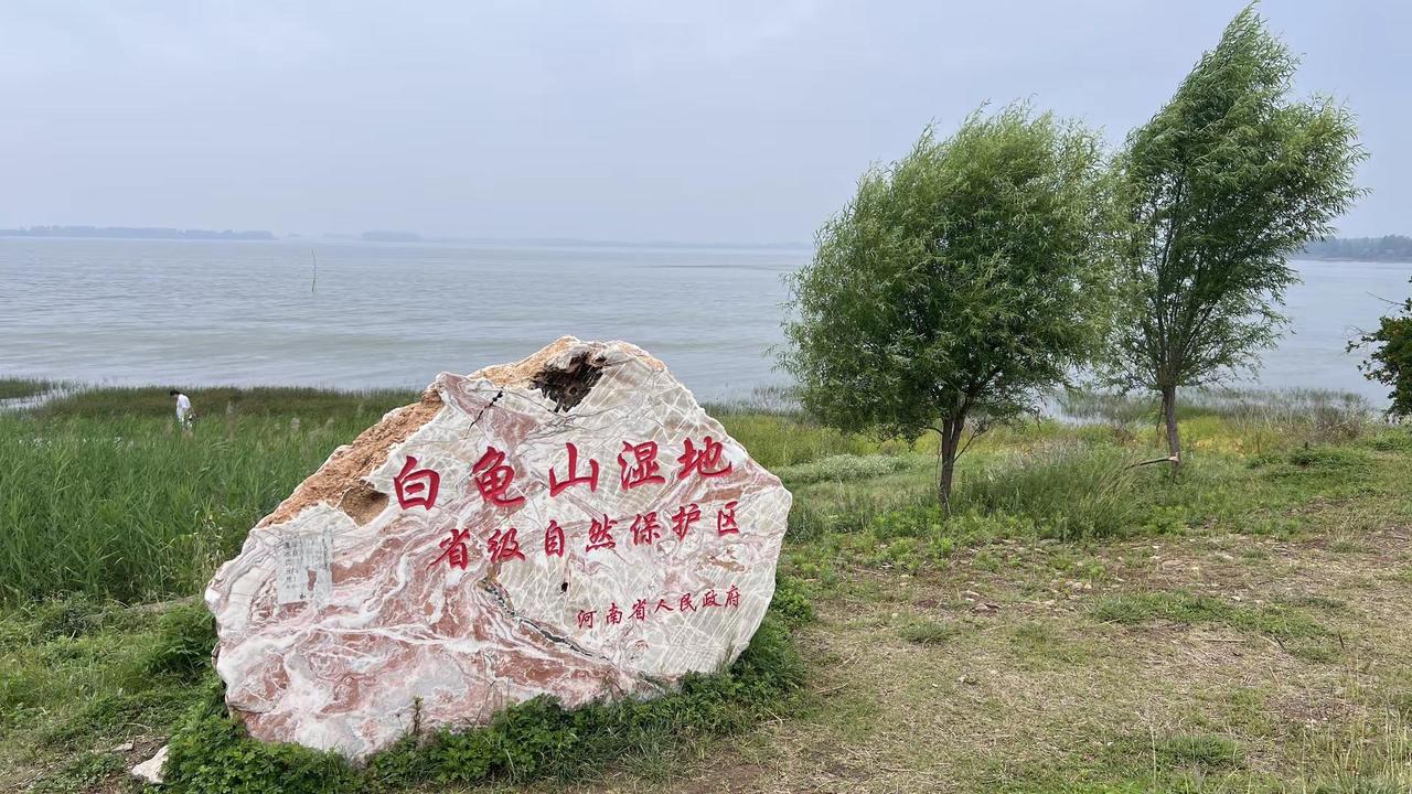 水似乎涨了一些。玩法合伙人计划