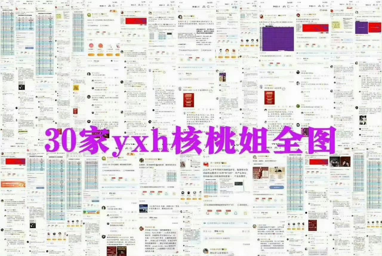 张凌赫粉丝牛啊前排全占满 