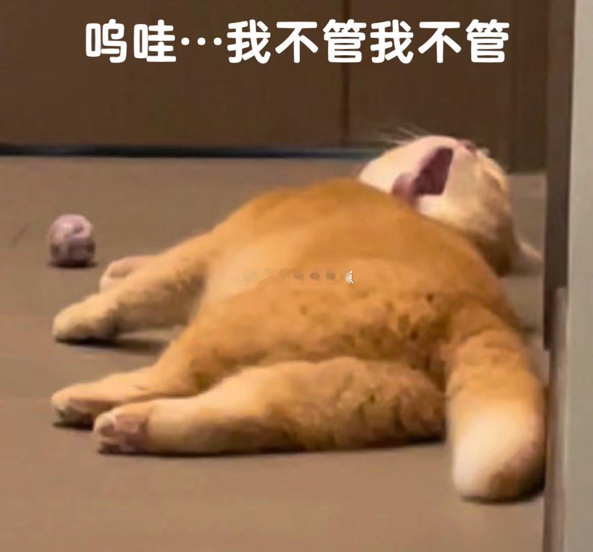出门保养我的小摩托车去啦化了个美美的妆，这次🐺要是第一眼不夸我我就噗嗤一声躺地