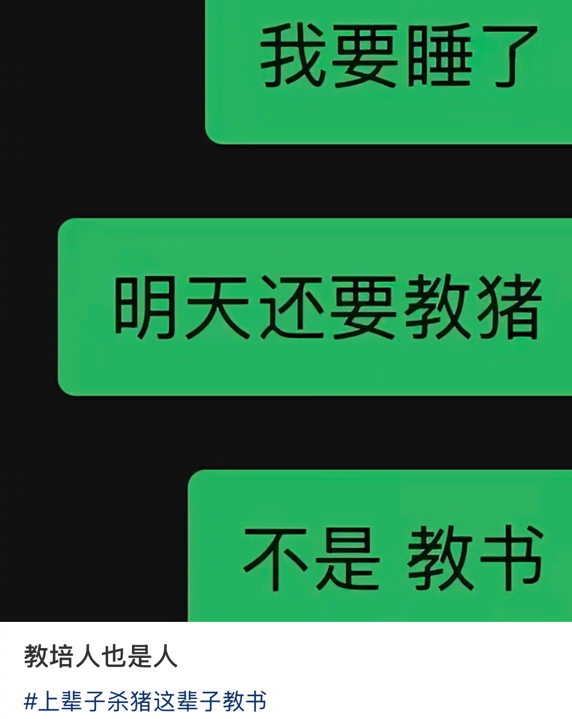 上辈子杀猪这辈子教书 