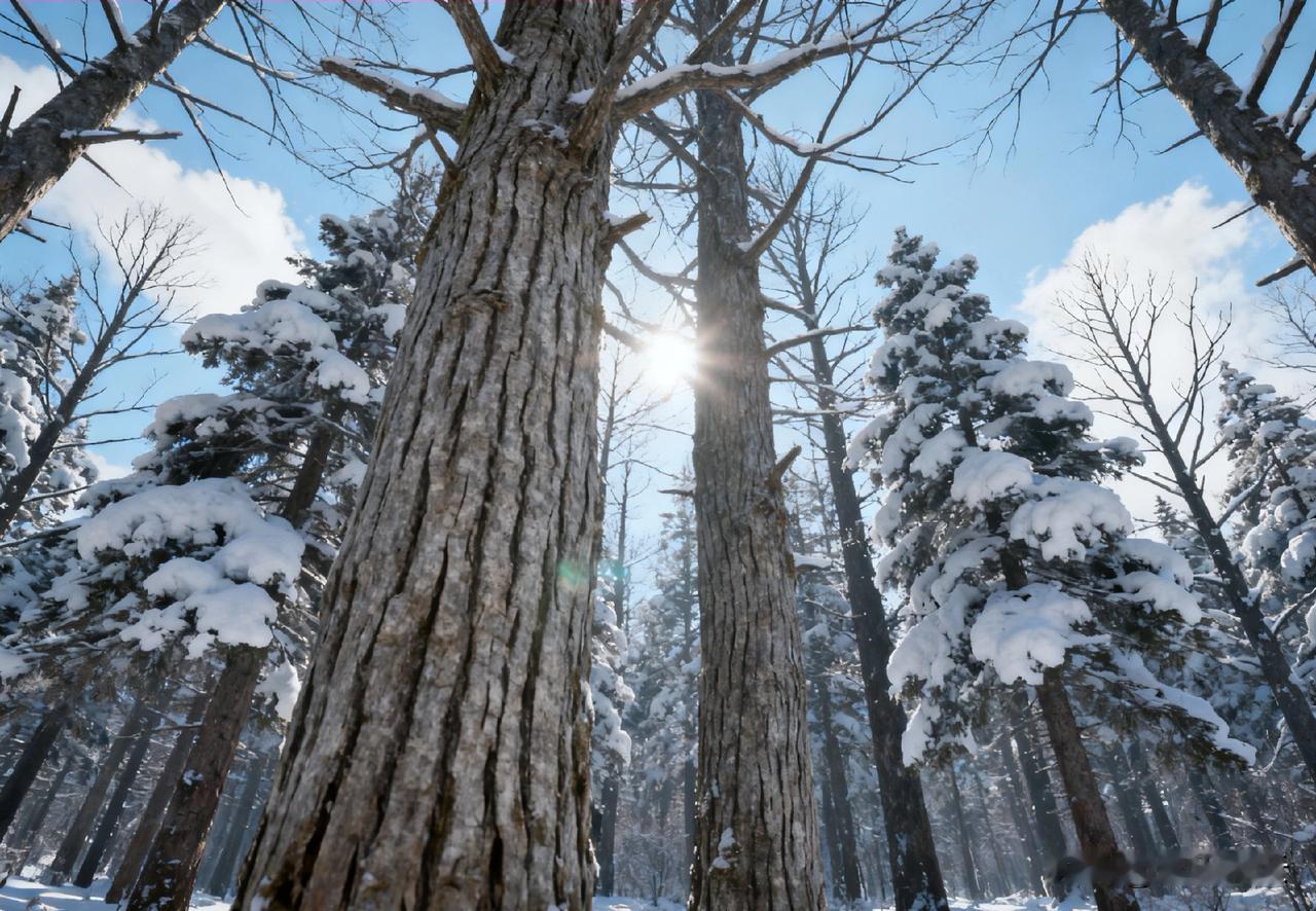 很多人终其一生，都在高估生活的甜，也放大了日子的苦。

总以为顺遂该是常态，坎坷