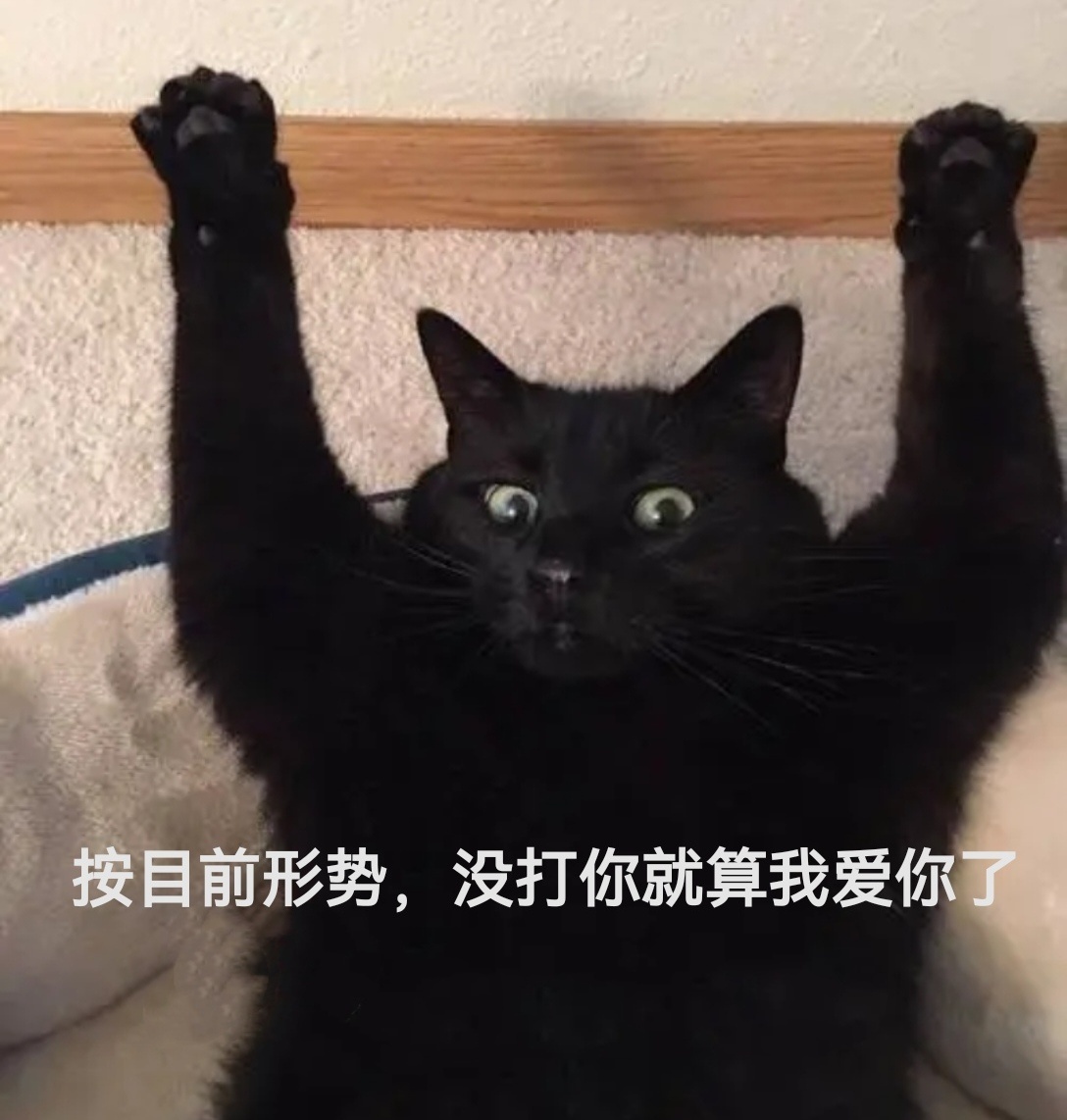 看完预告我心想没啥事了吧可以下线断网想干嘛干嘛了吧，结果一些傻子被带节奏开始添乱