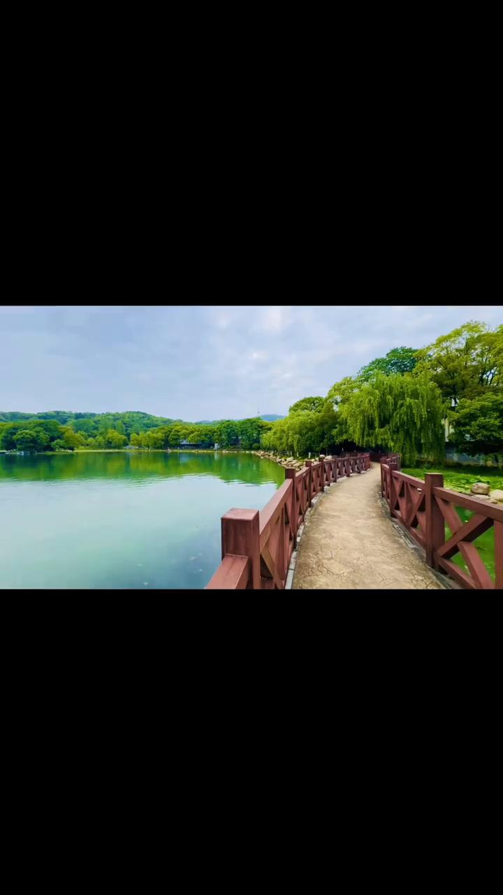 it wasn't true，i want the lies。